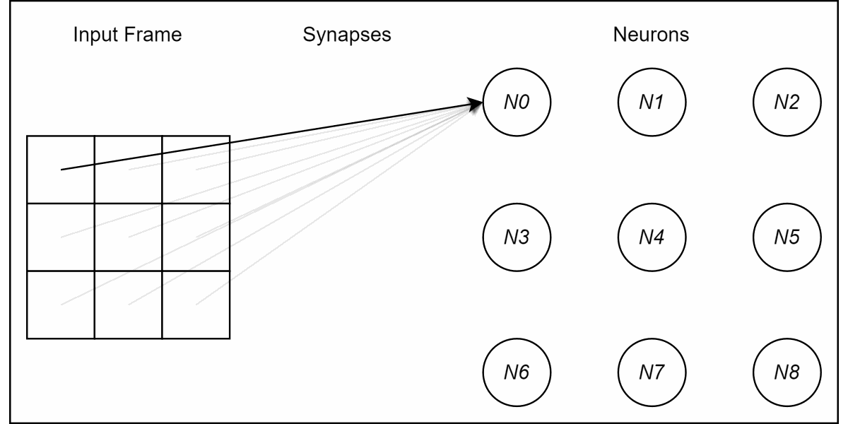Synapse and Neuron Iteration